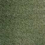 Pale Olive