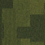 Pasture