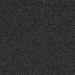 4200002 Anthrazite
