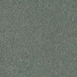 1267006 Oyster