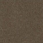 1267019 Teak