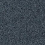 1267043 Blueberry