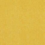 4122136 Sunflower
