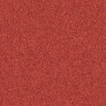 4122142 Amaryllis