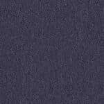 4122151 Blackcurrant