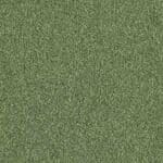 4122166 Olive