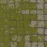 834004 Granitemoss
