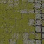 8341002 Slatemoss