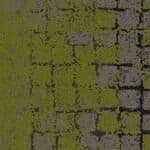 8341003 Flintmoss