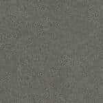 8337002 Slate