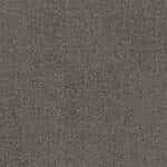 9403002 Ash