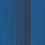 4268009 Delphinium