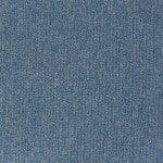21810 Sky Blue