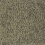 22909 - birch