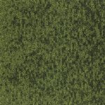 22912 - leaf
