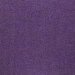 12174 lilac