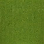 12130 lime (lithuanian lime)