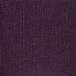 12184 violet (australian violet)