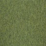 21101 guyana moss