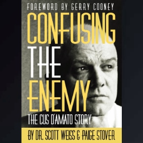 Confusing The Enemy Homepage Book Image