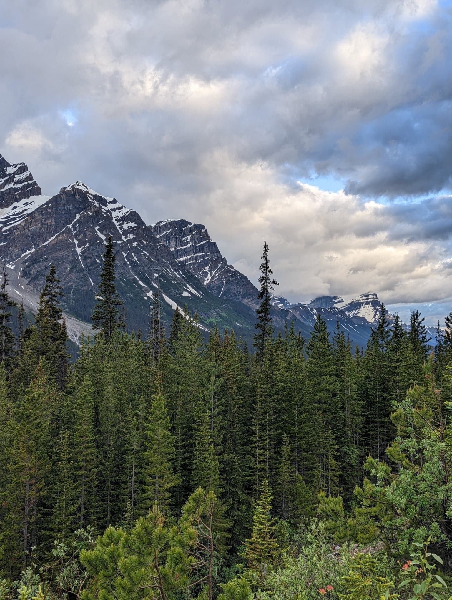 Snowy Mountain and woods