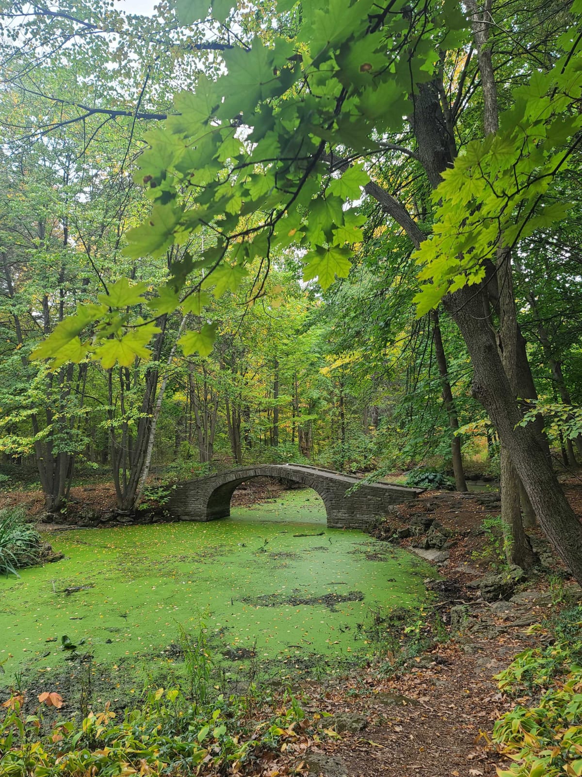 A bridge over a lake